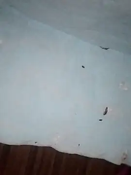 Snapshot of Rakhi_j chatting on February 1, 2026, 2:21 am Rakhi j online show from February 1, 2026, 2:21 am