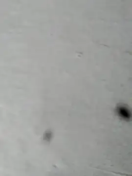 Mollysdick online show from April 16, 2026, 2:18 pm