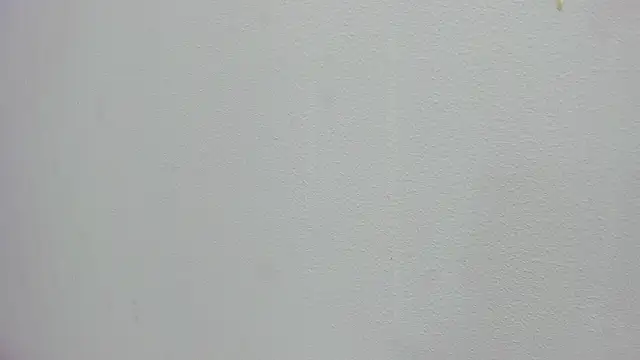 scarlett646 online show from November 15, 2025, 3:04 am