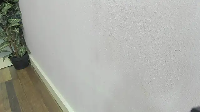 scarlett646 online show from February 22, 2026, 3:07 am