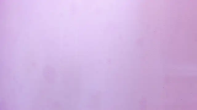 scarlett646 online show from February 25, 2026, 3:05 am