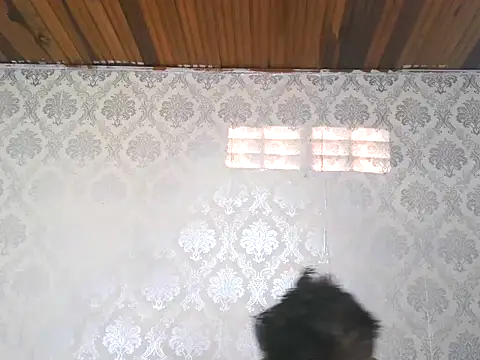 Snapshot of leandro477 chatting on September 13, 2025, 9:14 pm leandro477 online show from September 13, 2025, 9:14 pm