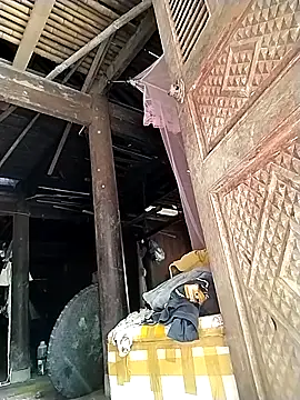 venu00 online show from October 11, 2025, 4:33 am