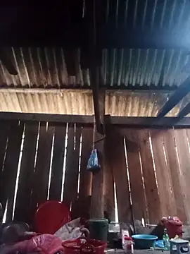 Ngocmi909 online show from March 6, 2026, 12:40 am