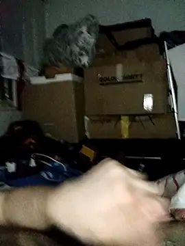 LolGamer54321 online show from February 16, 2026, 11:45 pm