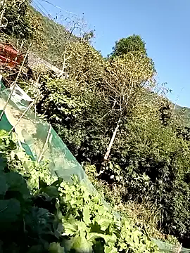 Snapshot of Maymay0033 chatting on November 29, 2025, 4:59 am Maymay0033 online show from November 29, 2025, 4:59 am