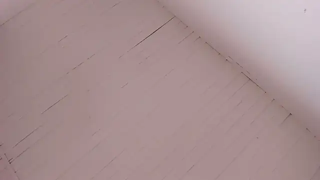 BellaBoobs  online show from October 15, 2025, 7:36 pm