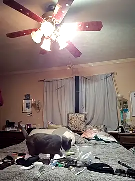 Snapshot of mresquared chatting on March 25, 2026, 3:34 am mresquared online show from March 25, 2026, 3:34 am