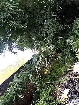 Snapshot of onlymasti00 chatting on November 4, 2025, 8:57 am onlymasti00 online show from November 4, 2025, 8:57 am