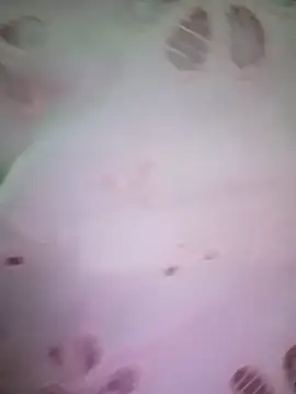 Snapshot of merylove-00 chatting on April 15, 2026, 3:30 pm merylove-00 online show from April 15, 2026, 3:30 pm