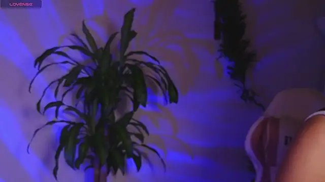 bri von dhara   online show from April 26, 2026, 1:47 am