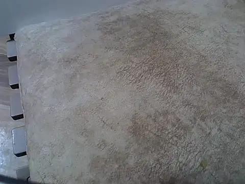 Snapshot of cem07060 chatting on October 23, 2025, 7:34 pm cem07060 online show from October 23, 2025, 7:34 pm