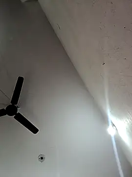 Appypie online show from November 12, 2025, 6:36 am