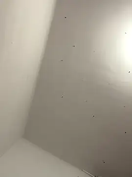 davidxxx099 online show from November 22, 2025, 10:31 pm