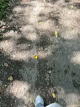 amo660 online show from September 20, 2025, 10:05 am