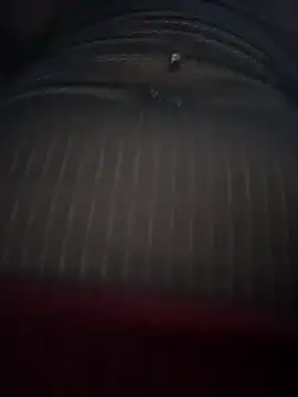 Gaby-Herrera online show from March 28, 2026, 8:41 pm