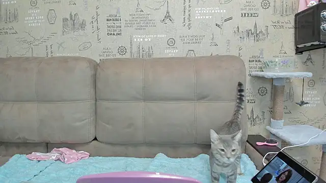 Kelly Gerzikaa online show from November 29, 2025, 1:41 am