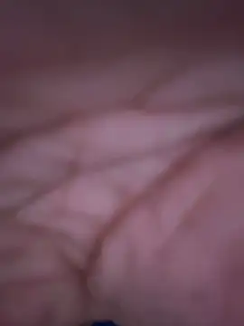 stevo170t online show from October 14, 2025, 11:44 am