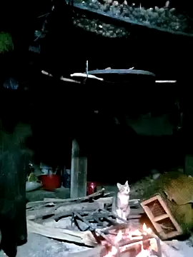 Snapshot of ngan-cute chatting on November 17, 2025, 1:28 pm ngan-cute online show from November 17, 2025, 1:28 pm