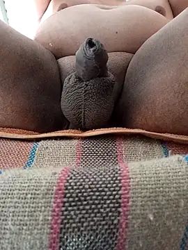 HotsitoTQM online show from December 17, 2025, 3:51 pm