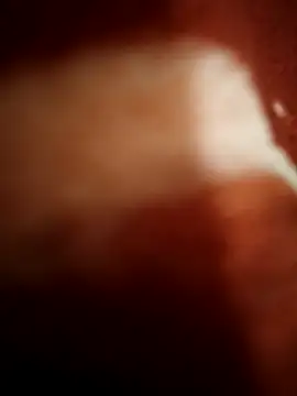 Snapshot of sexy__girls98 chatting on November 8, 2025, 11:47 pm sexy girls98 online show from November 8, 2025, 11:47 pm