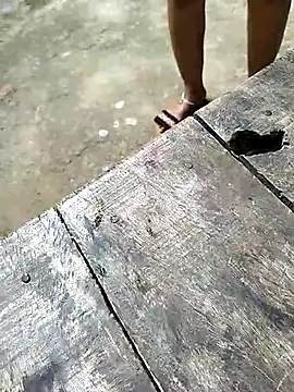 Snapshot of sexy__girls98 chatting on December 3, 2025, 5:48 am sexy girls98 online show from December 3, 2025, 5:48 am