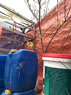 Snapshot of liu-liusexy chatting on February 15, 2026, 7:51 am liu-liusexy online show from February 15, 2026, 7:51 am