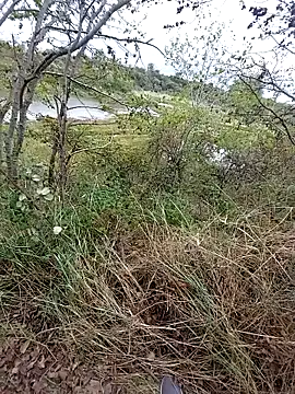 slaveman4you online show from September 18, 2025, 12:40 pm