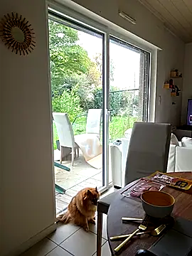 Snapshot of CornetDeGlace chatting on October 31, 2025, 11:55 am CornetDeGlace online show from October 31, 2025, 11:55 am