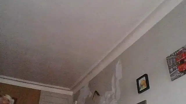 Snapshot of Titilouonlyf69 chatting on July 23, 2026, 7:01 pm Titilouonlyf69 online show from July 23, 2026, 7:01 pm