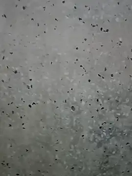 Snapshot of Mr_xxx007@xh chatting on March 1, 2026, 1:18 am Mr xxx007xh online show from March 1, 2026, 1:18 am