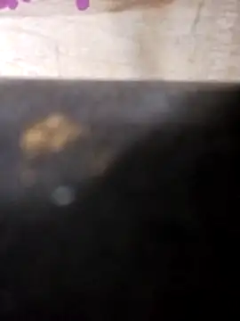 Snapshot of Jeremycle chatting on October 25, 2025, 11:21 pm Jeremycle online show from October 25, 2025, 11:21 pm