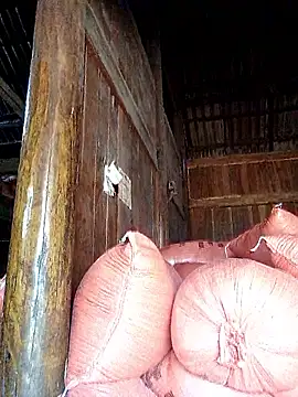 hera-00 online show from September 20, 2025, 3:40 am