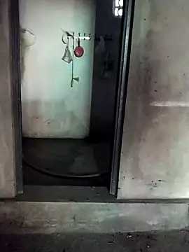 hong-sex online show from November 28, 2025, 12:35 am