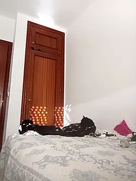 Snapshot of oscartres chatting on November 2, 2025, 3:25 pm oscartres online show from November 2, 2025, 3:25 pm