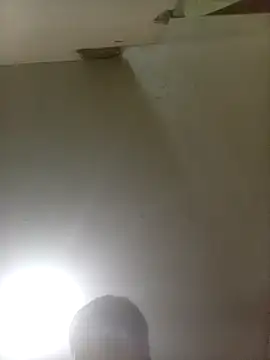 Bebicho14 online show from November 22, 2025, 5:28 am