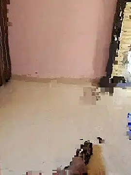 Snapshot of Rk3BULL chatting on February 16, 2026, 7:15 am Rk3BULL online show from February 16, 2026, 7:15 am