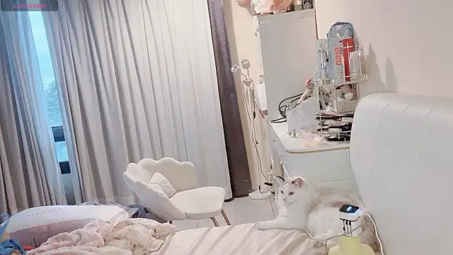 jiajia 0902 online show from March 19, 2026, 9:46 am