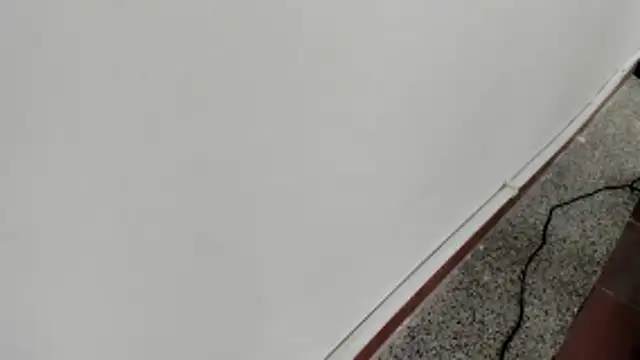 michelle perla online show from January 15, 2026, 7:06 pm