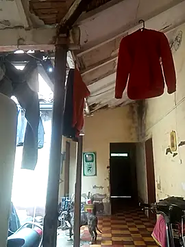 Snapshot of hairy_mannn chatting on February 15, 2026, 2:14 pm hairy mannn online show from February 15, 2026, 2:14 pm