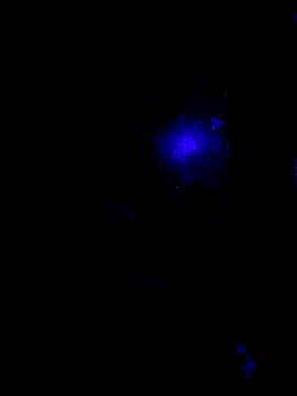 Snapshot of johnboones10 chatting on October 22, 2025, 9:42 am johnboones10 online show from October 22, 2025, 9:42 am