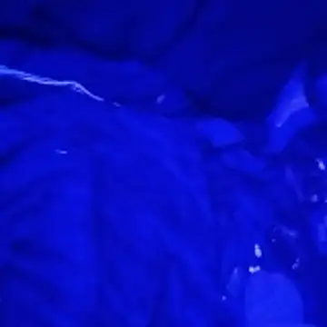 Snapshot of johnboones10 chatting on March 4, 2026, 9:15 am johnboones10 online show from March 4, 2026, 9:15 am