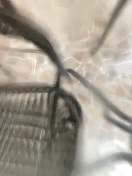 Adele Pinkk online show from October 25, 2025, 11:51 am