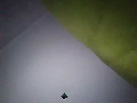 Snapshot of Ladyetcetera chatting on September 30, 2025, 3:55 am Ladyetcetera online show from September 30, 2025, 3:55 am