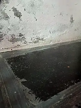 chubby babitha-telugu online show from September 19, 2025, 3:19 am