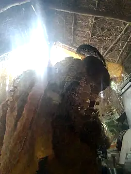 LUCKY cut online show from November 22, 2025, 3:05 am