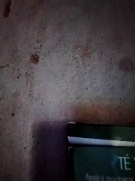  tetas 92 online show from March 7, 2026, 1:30 pm