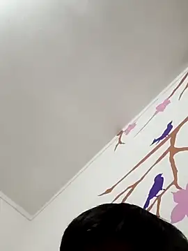 Snapshot of DavidVergagigante420 chatting on February 15, 2026, 8:02 am DavidVergagigante420 online show from February 15, 2026, 8:02 am