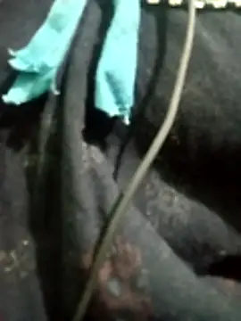 Telugu hot cpl online show from December 16, 2025, 5:51 pm