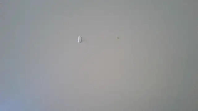 abimusic99 online show from February 25, 2026, 7:45 pm